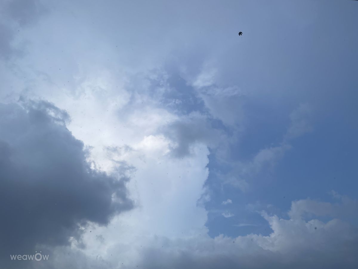 Weather Photos in Taiwan. Weather forecasts with beautiful photos by Fragrantmi
