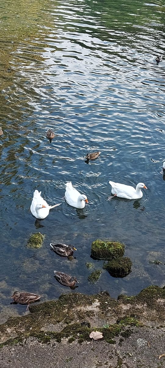 Weather forecasts with beautiful photos by SandraS