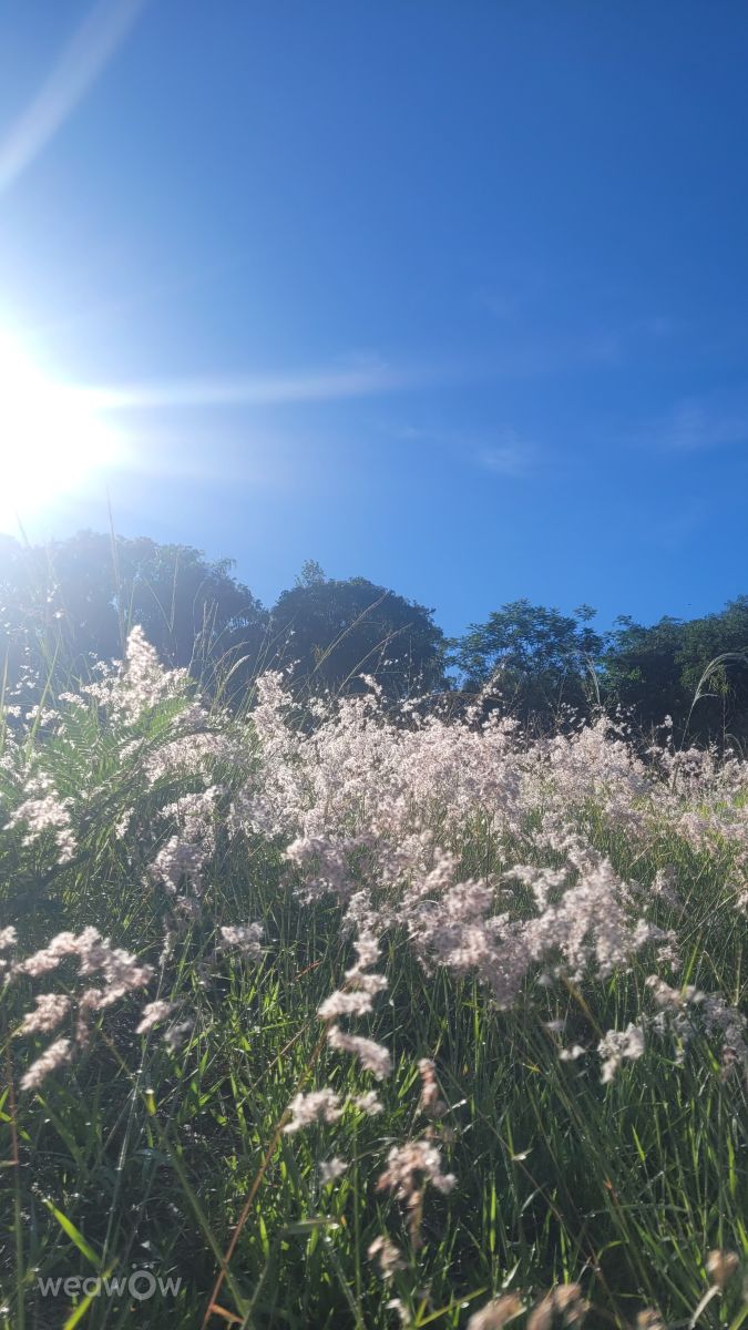 Dự báo thời tiết với những bức ảnh đẹp của Vanbort87