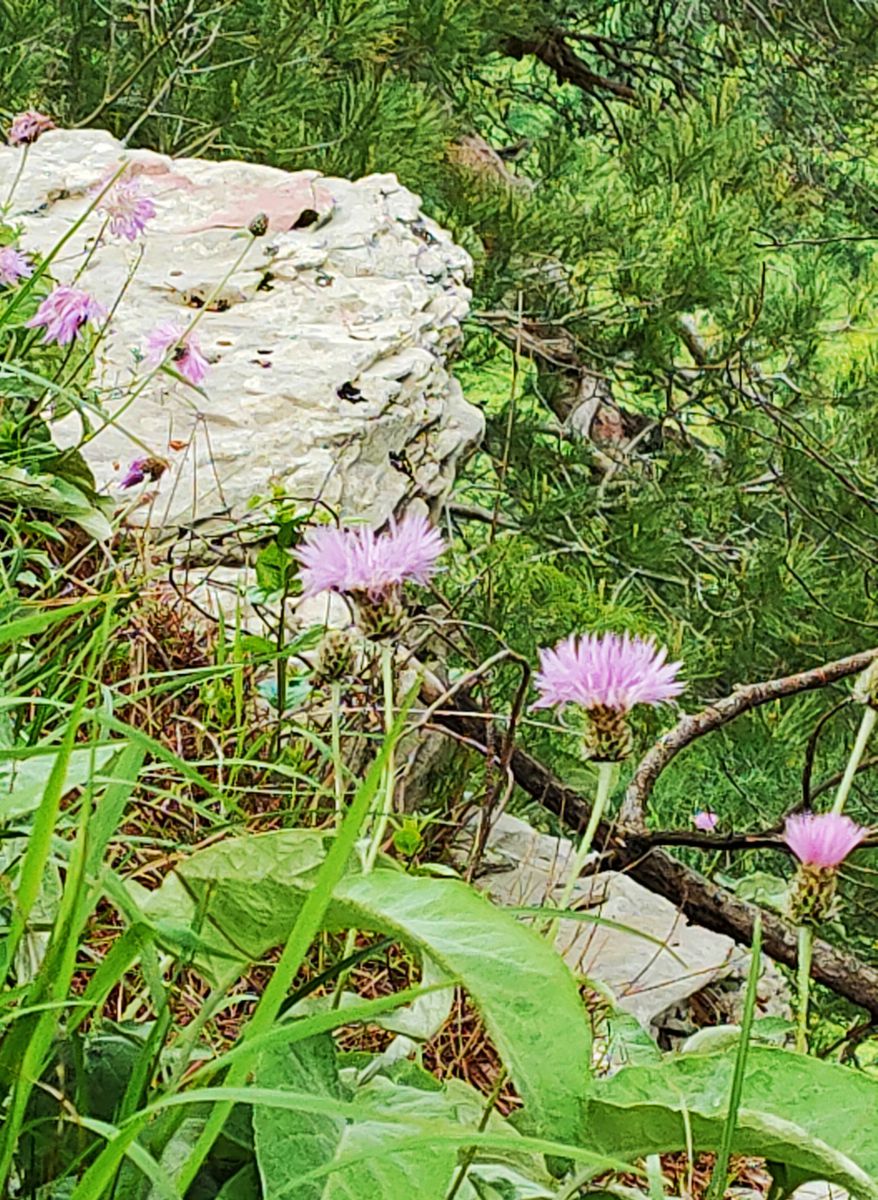 Photographe Belkka303, Photos météo à Sotchi - Weawow