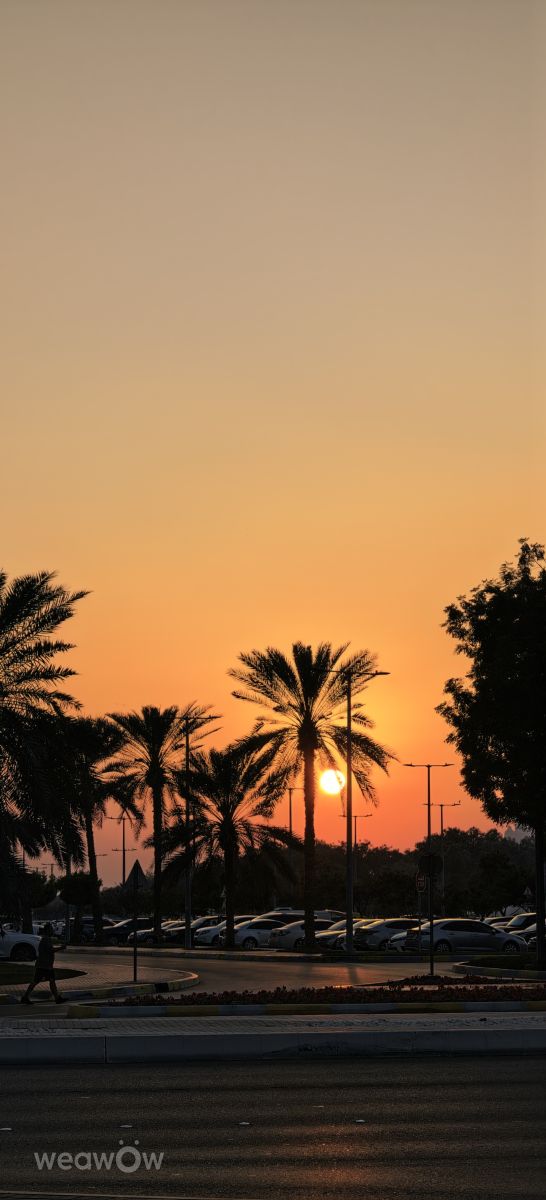 Weather Photos in Abu Dhabi. Weather forecasts with beautiful photos by MakiCami
