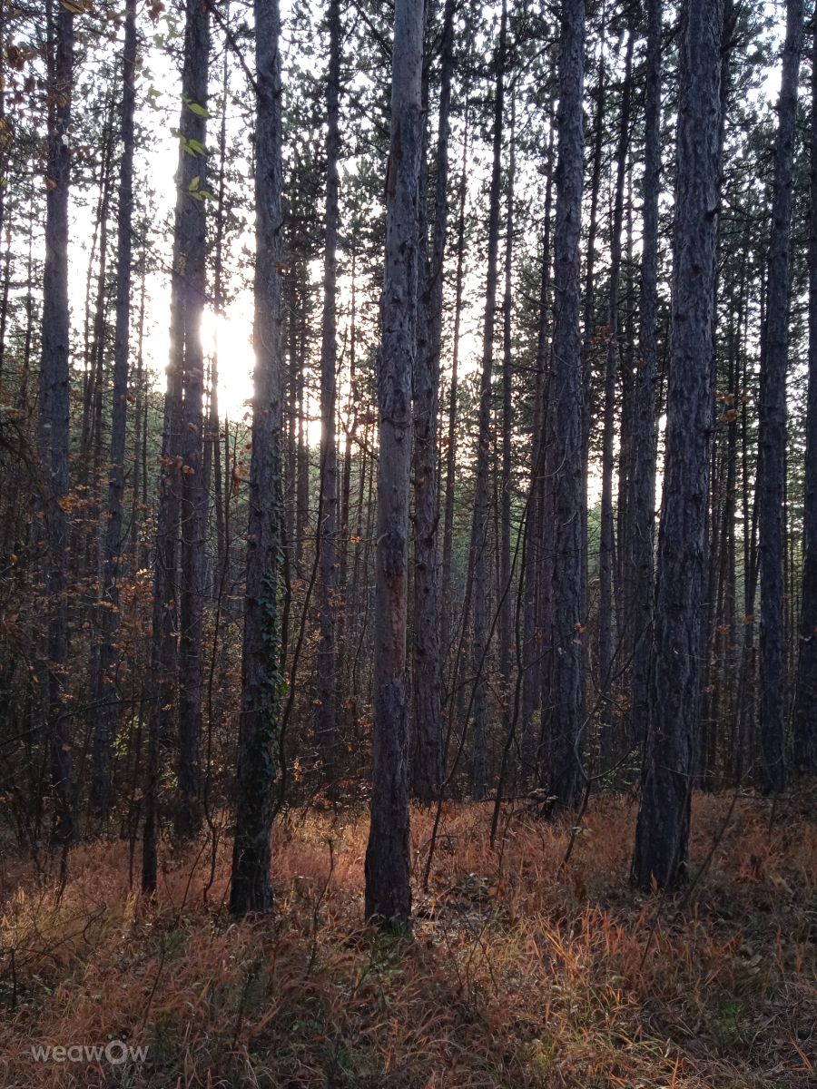 Фотографии Погоды в Radomir. Прогнозы погоды с чудесными фотографиями, сделанными Bilyana