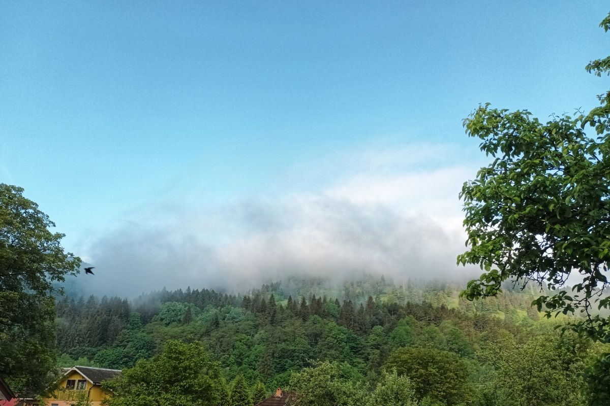 Weather Photos in Judetul Neamt. Weather forecasts with beautiful photos by Marian Teodorof