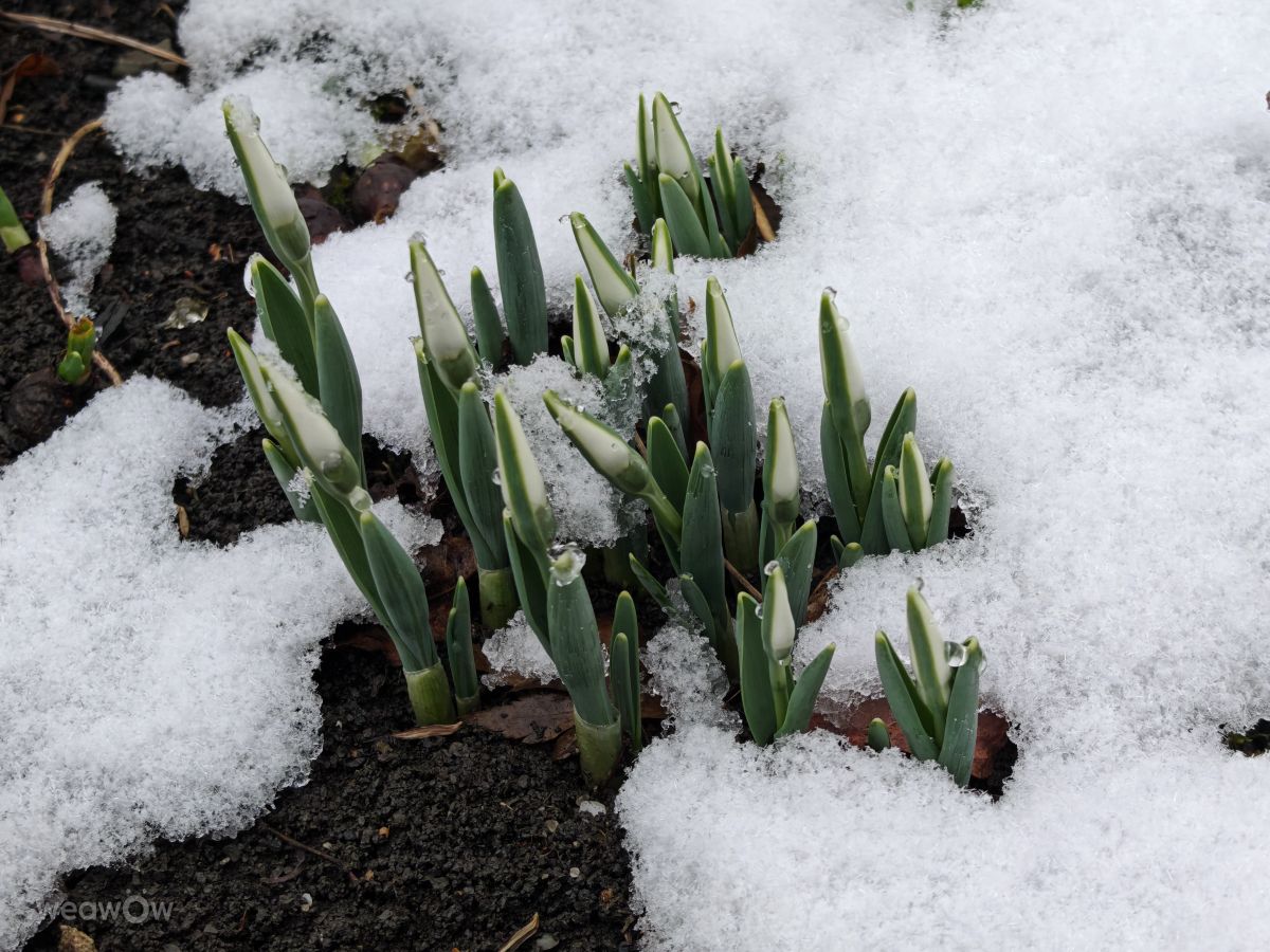 Weather Photos in Prahova. Weather forecasts with beautiful photos by Bley64