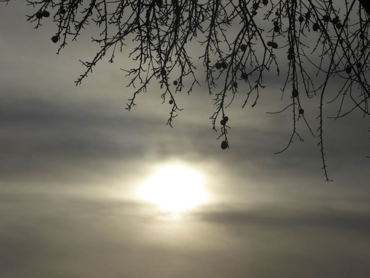 Прогнозы погоды с чудесными фотографиями, сделанными AlmaGenute53