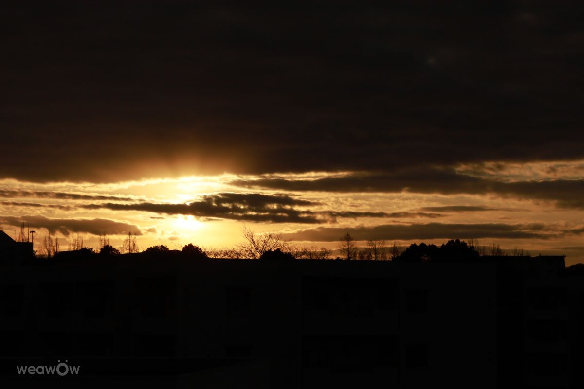 Fotos sobre el clima en Tama. Pronósticos del tiempo con hermosas fotos de Sandersonia
