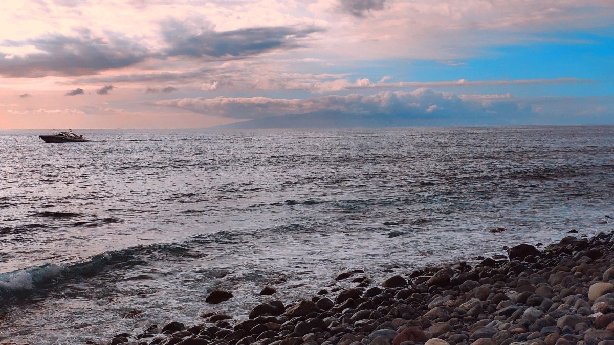 Photographe newgen, Photos météo à Playa del Duque - Weawow