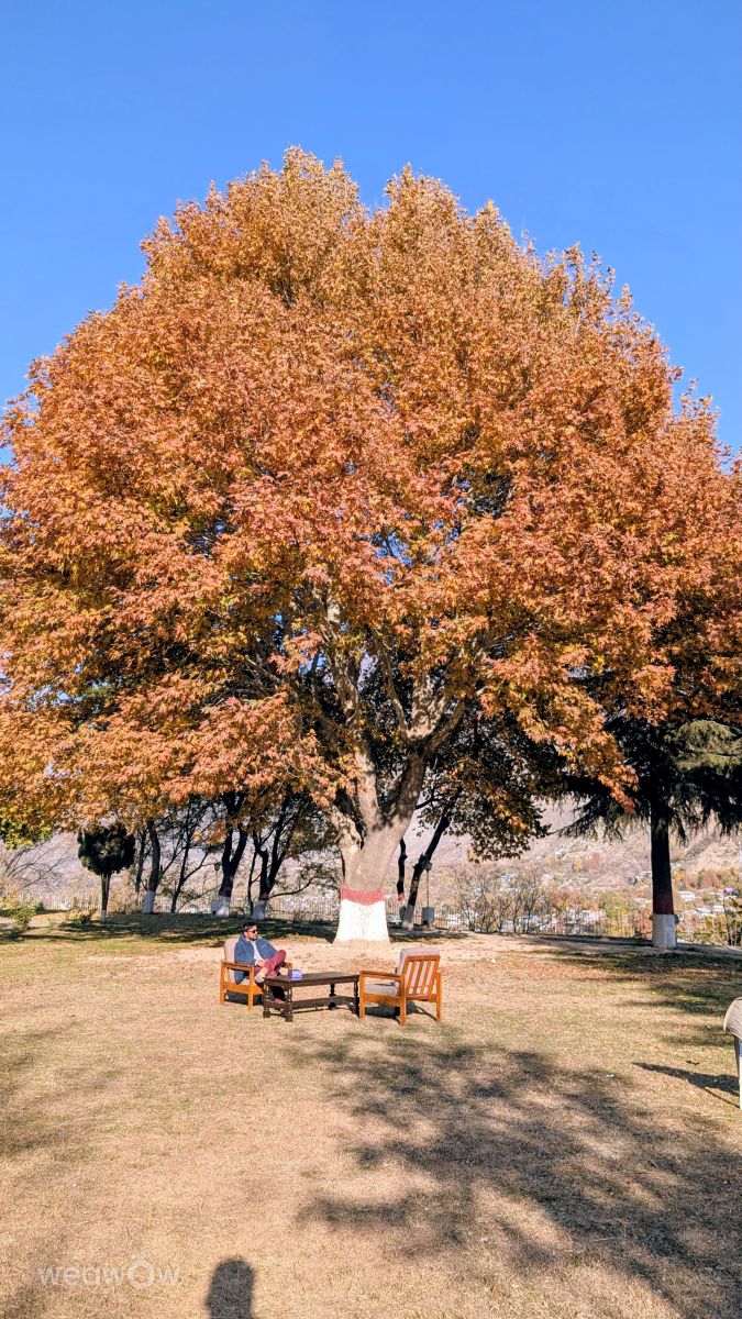 Fotos do tempo em Paquistão. Previsões do tempo com lindas fotos de Trekchitral