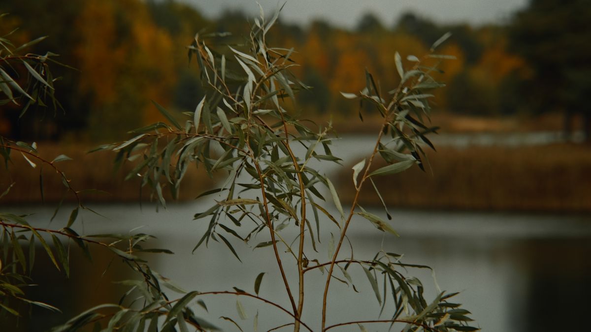Фотографии Погоды в Brest. Прогнозы погоды с чудесными фотографиями, сделанными RuslanLeuliukh