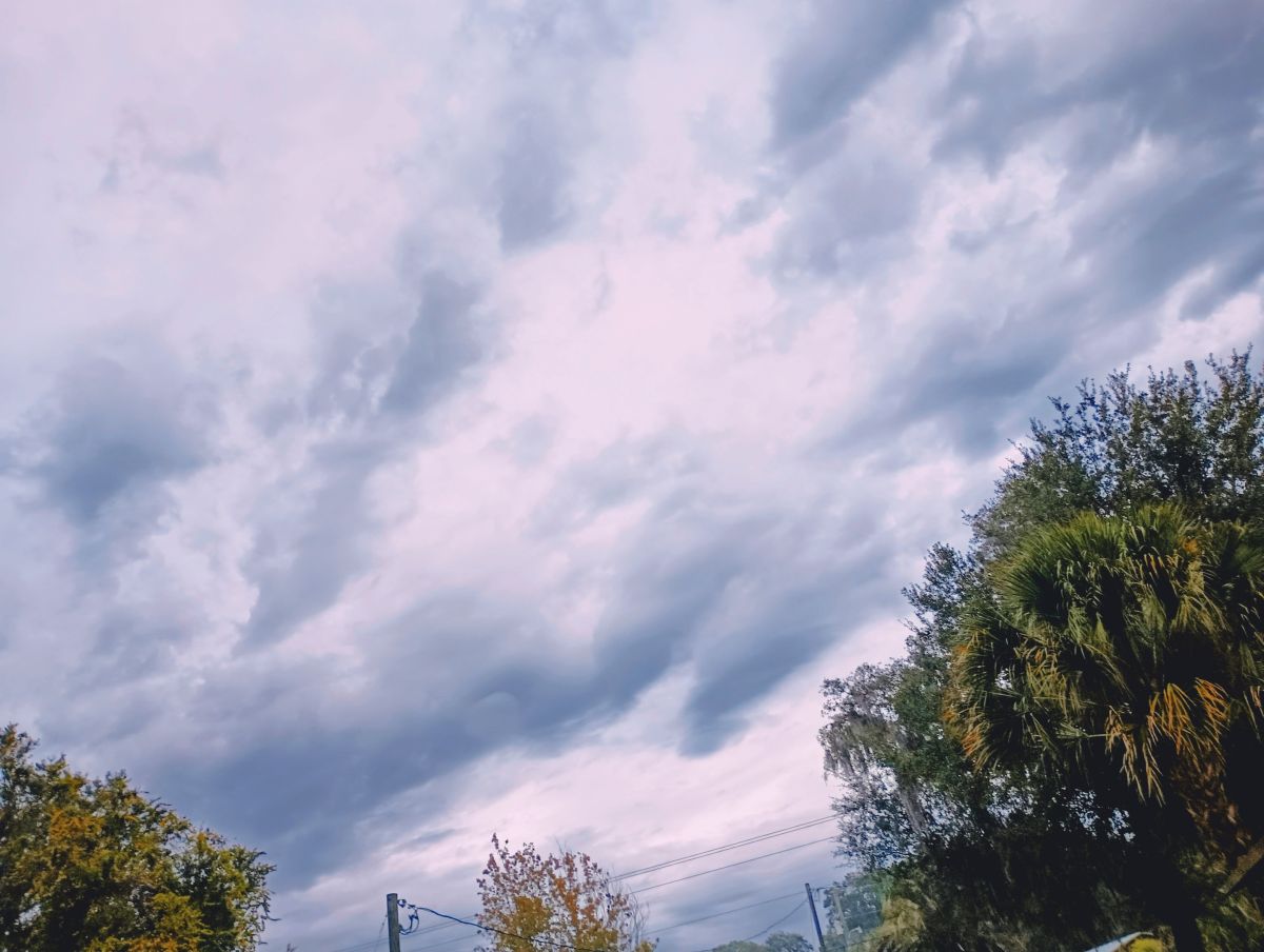 Weather Photos in Florida. Weather forecasts with beautiful photos by Christinam01