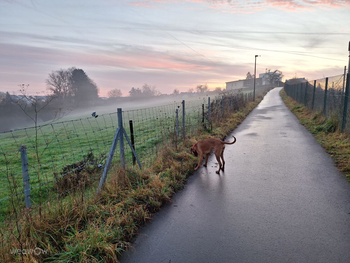 Weather forecasts with beautiful photos by lremmy