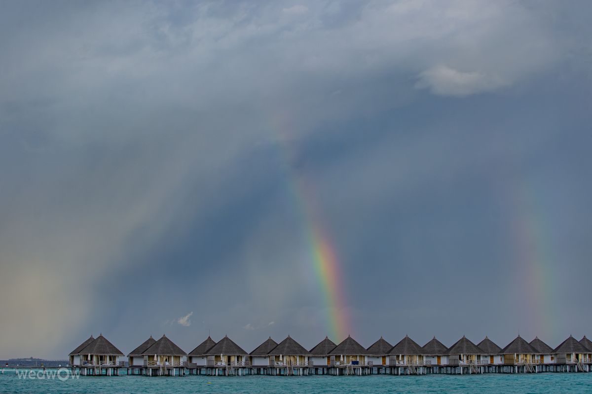 Weather forecasts with beautiful photos by White
