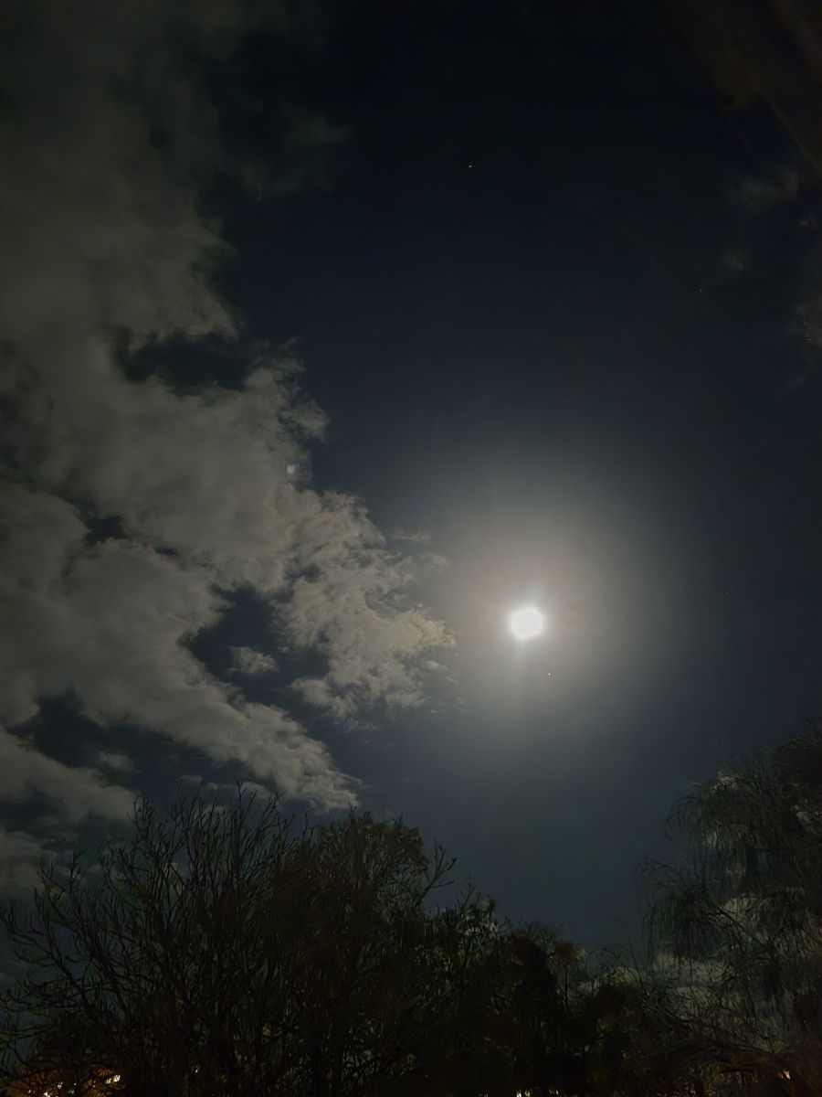 Fotos sobre el clima en Bila Tserkva. Pronósticos del tiempo con hermosas fotos de Маргарита Котенко