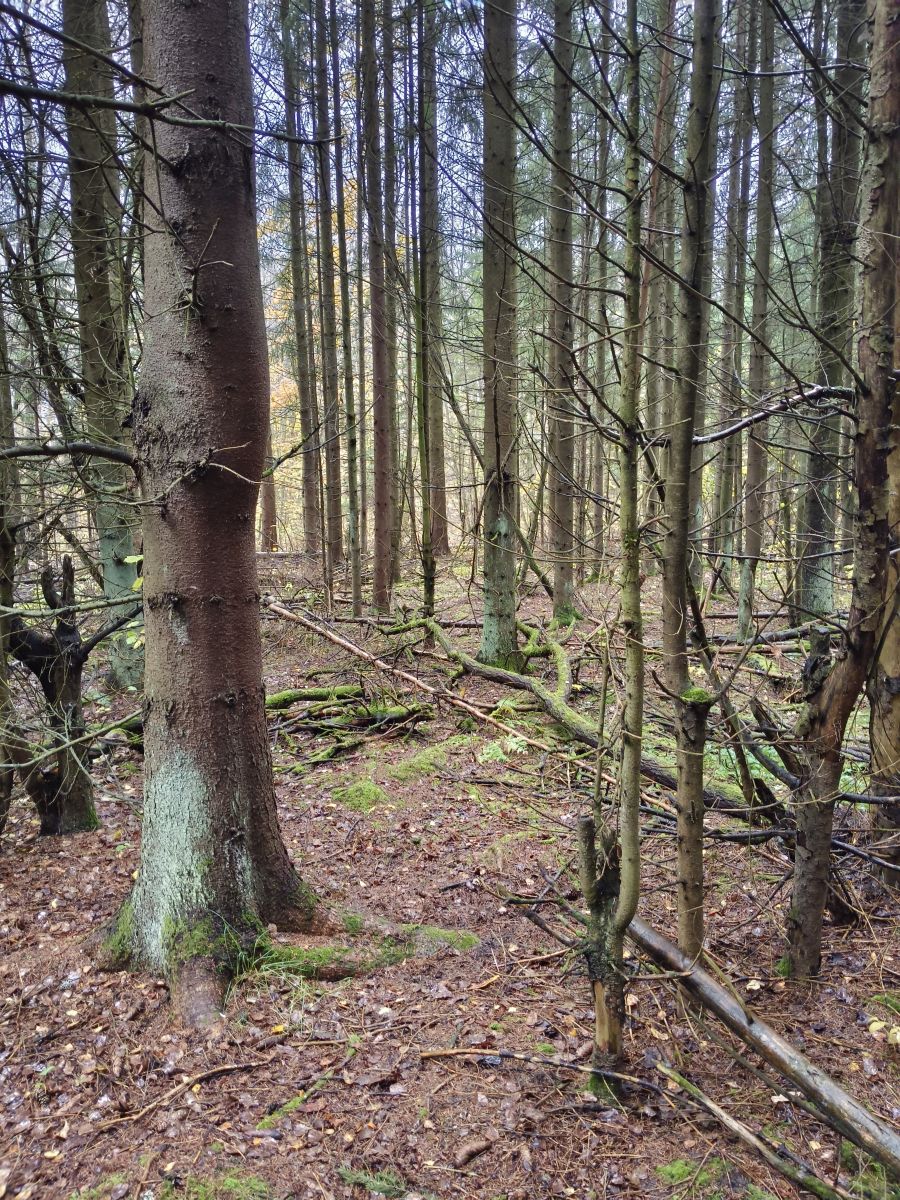 Fotos sobre el clima en Tula. Pronósticos del tiempo con hermosas fotos de Aleksei
