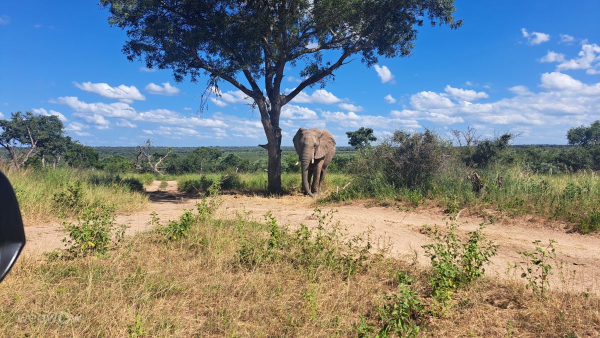 Weather Photos in Mpumalanga. Weather forecasts with beautiful photos by StevevdM