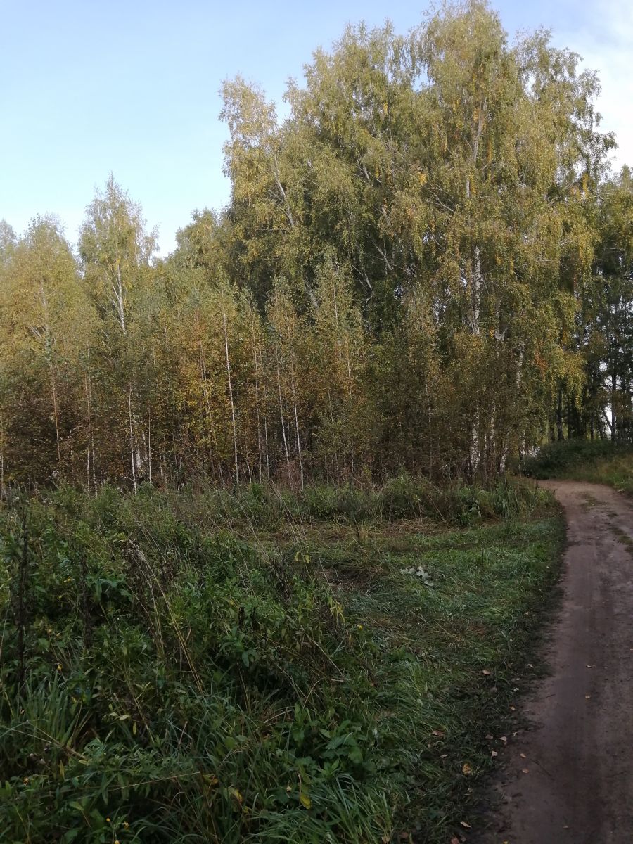 станция Мочище Россия, Прогноз погоды на 14 дней, Радар & Фото - Weawow