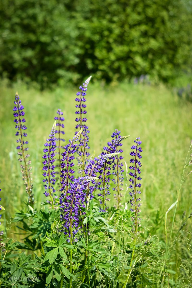 Hình ảnh Thời tiết ở Tomsk. Dự báo thời tiết với những bức ảnh đẹp của Надежда-1979