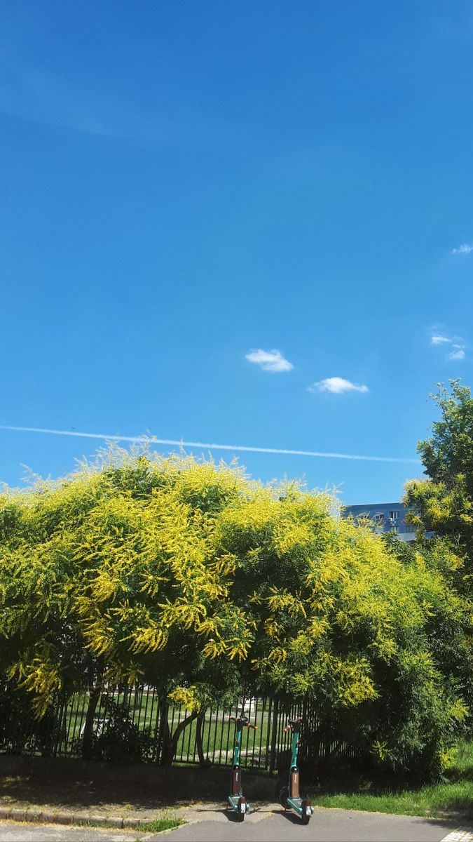 Photograph GergelyHajdu, Wetter Photos Óbuda - Weawow