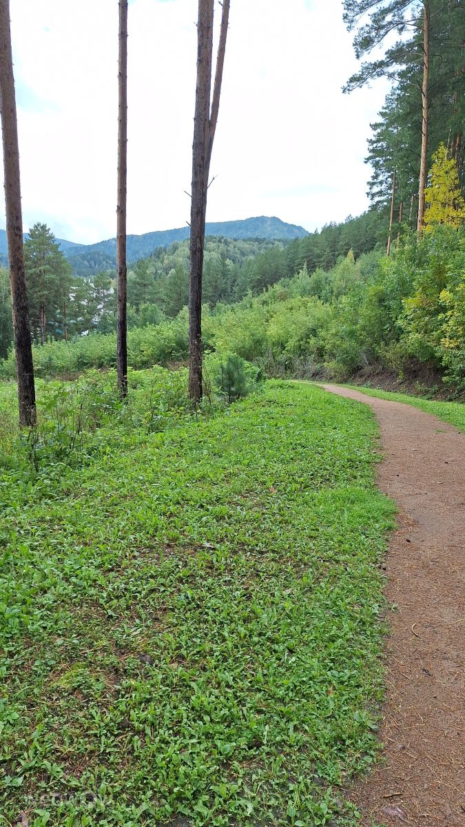 Weather Photos in Altai Krai. Weather forecasts with beautiful photos by MPVJ