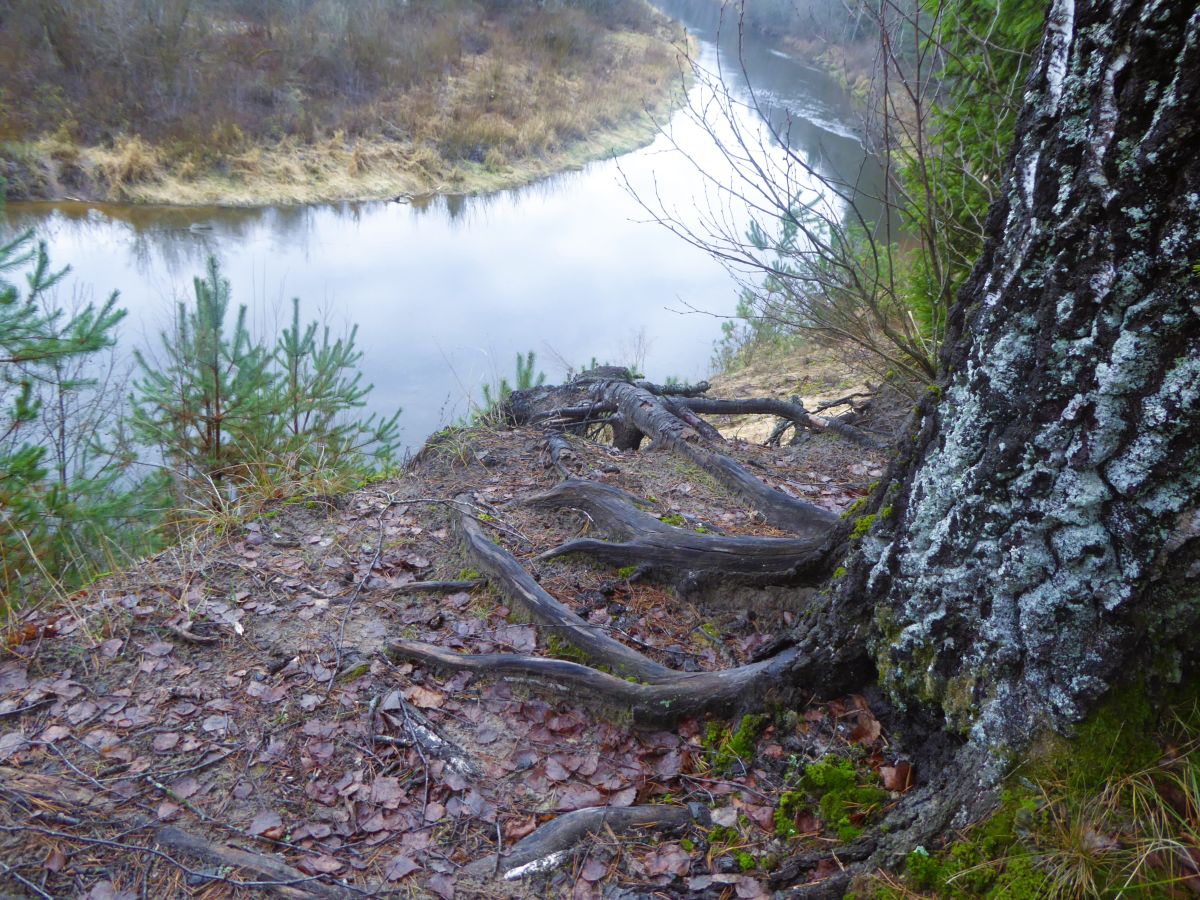 Фотографии Погоды в Литва. Прогнозы погоды с чудесными фотографиями, сделанными AlmaGenute53