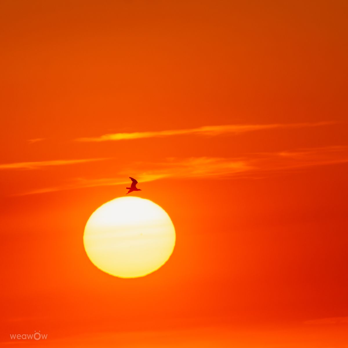 Weather forecasts with beautiful photos by Foqus Foto