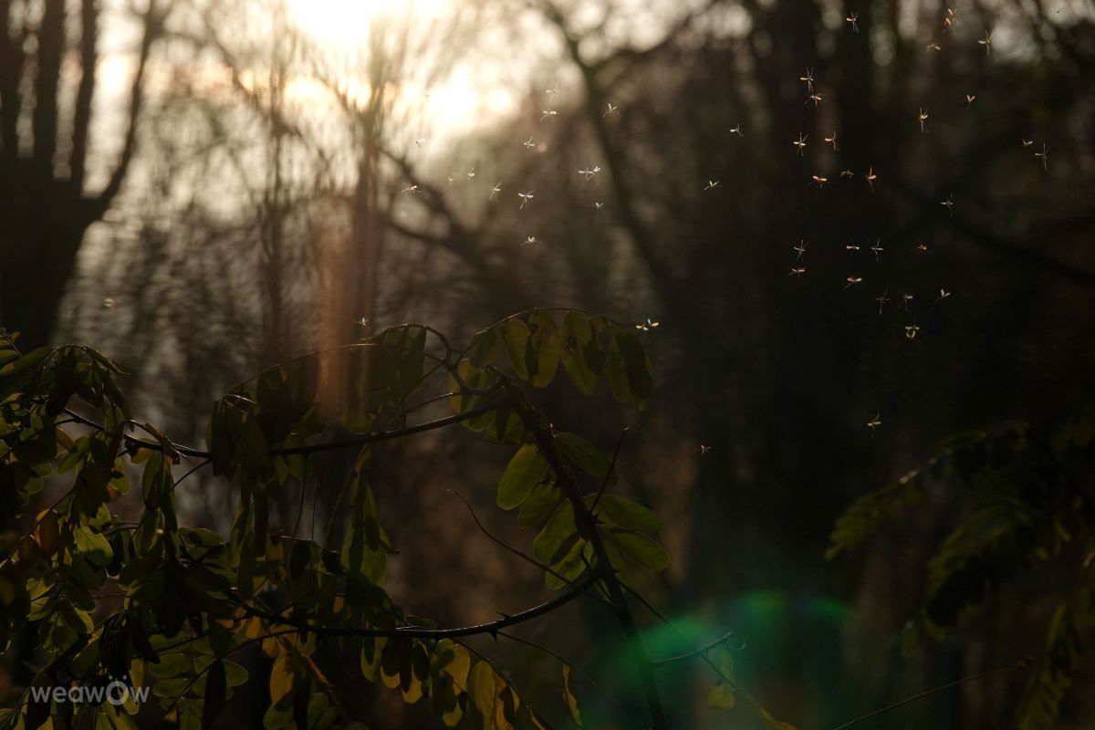 Braník的天气照片. 天气预报，带Vasek325精美的照片