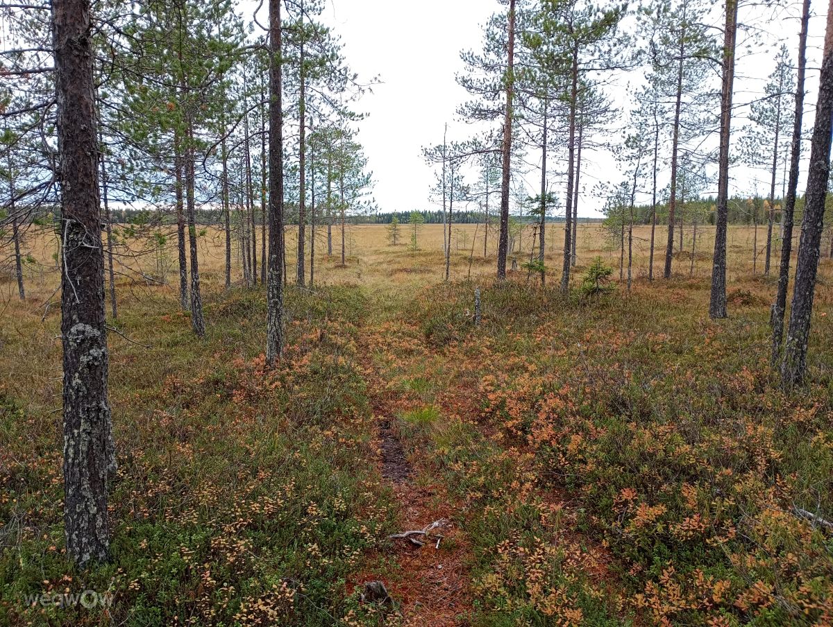 Prévisions météo avec de superbes photos de Juki