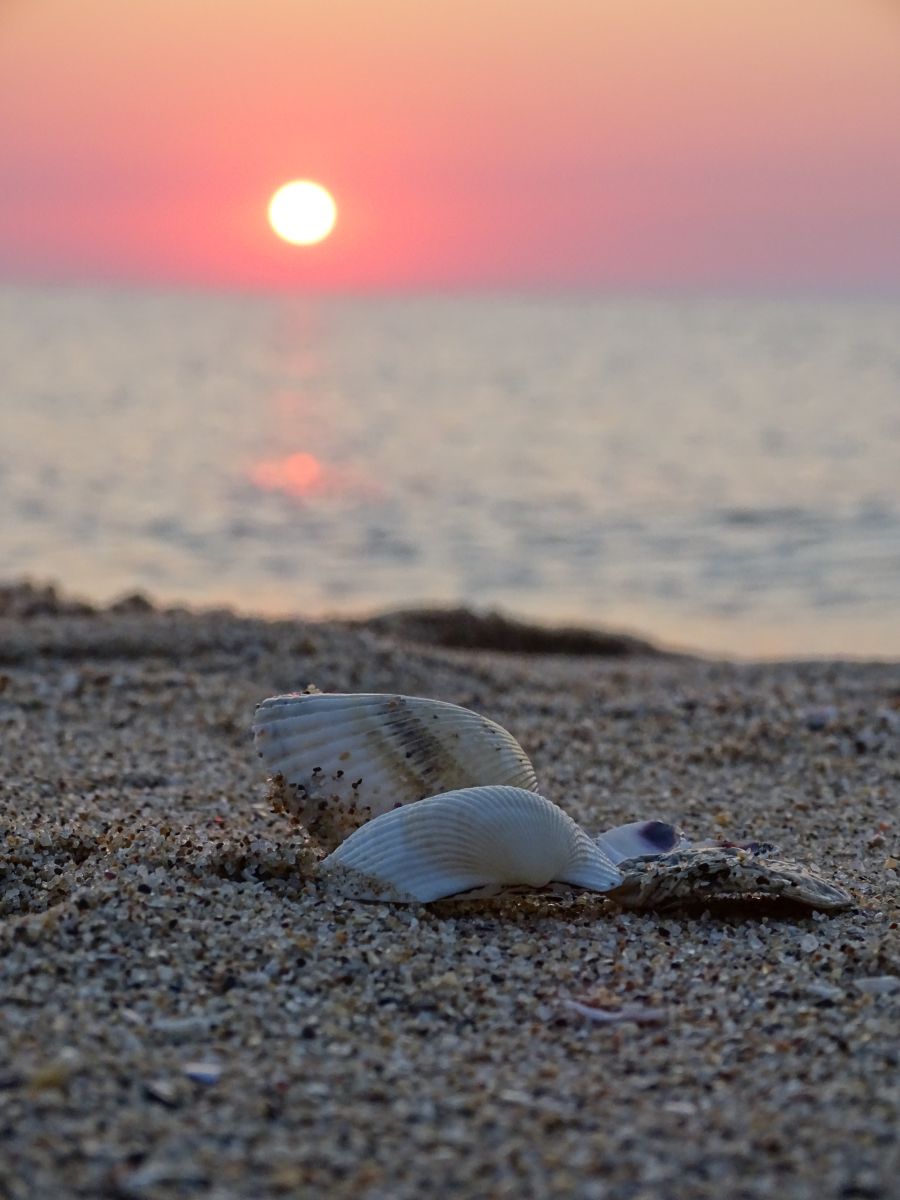 Fotos do tempo em Obzor. Previsões do tempo com lindas fotos de Roxy