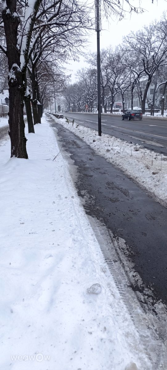 Weather Photos in Serbia. Weather forecasts with beautiful photos by dacooff