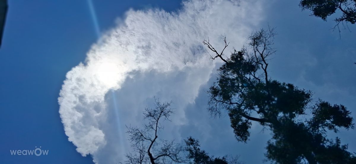 Photos météo à Plate-forme. Prévisions météo avec de superbes photos de GermanCherry96