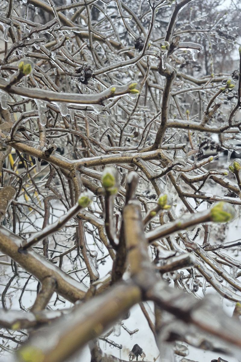 Fotos sobre el clima en Bila Tserkva. Pronósticos del tiempo con hermosas fotos de Маргарита Котенко