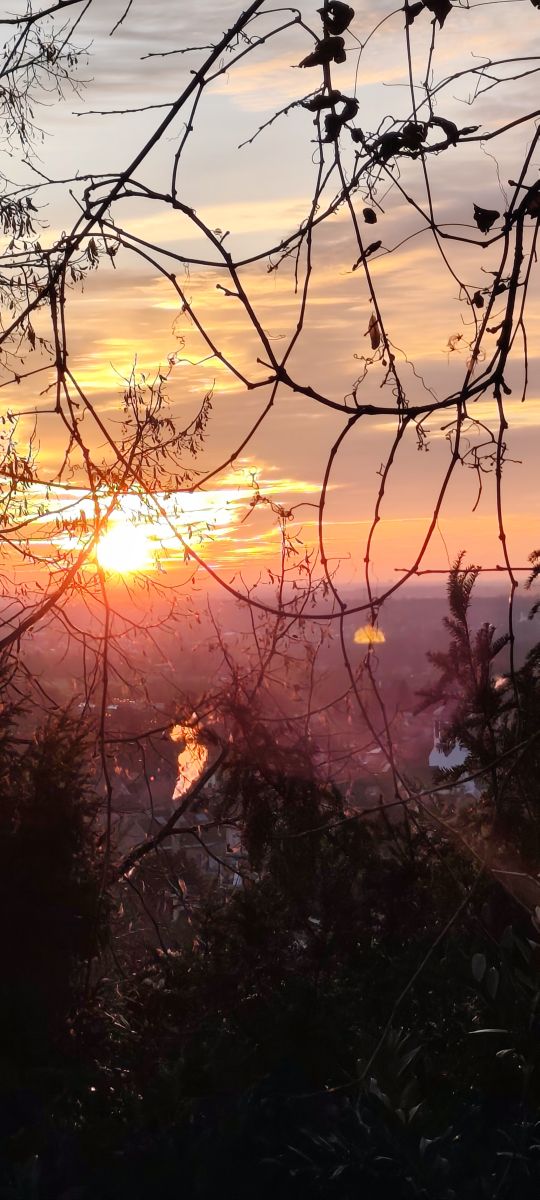 Weather Photos in Ettlingen. Weather forecasts with beautiful photos by Tercis