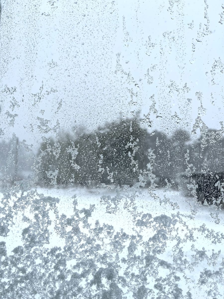 Fotos sobre el clima en Kohtla-Järve. Pronósticos del tiempo con hermosas fotos de Dmitry8