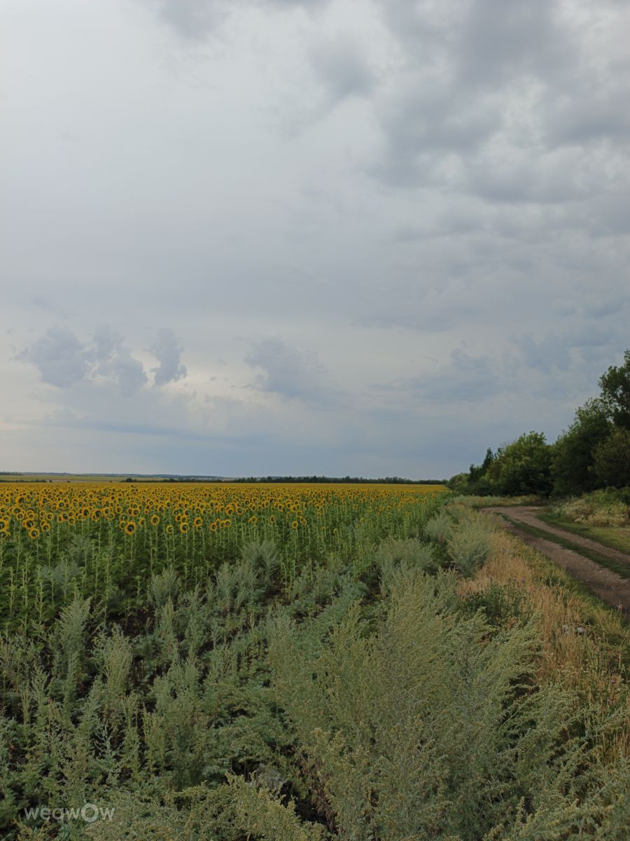 Weather Photos in Rostov-on-Don. Weather forecasts with beautiful photos by andreyrud_76