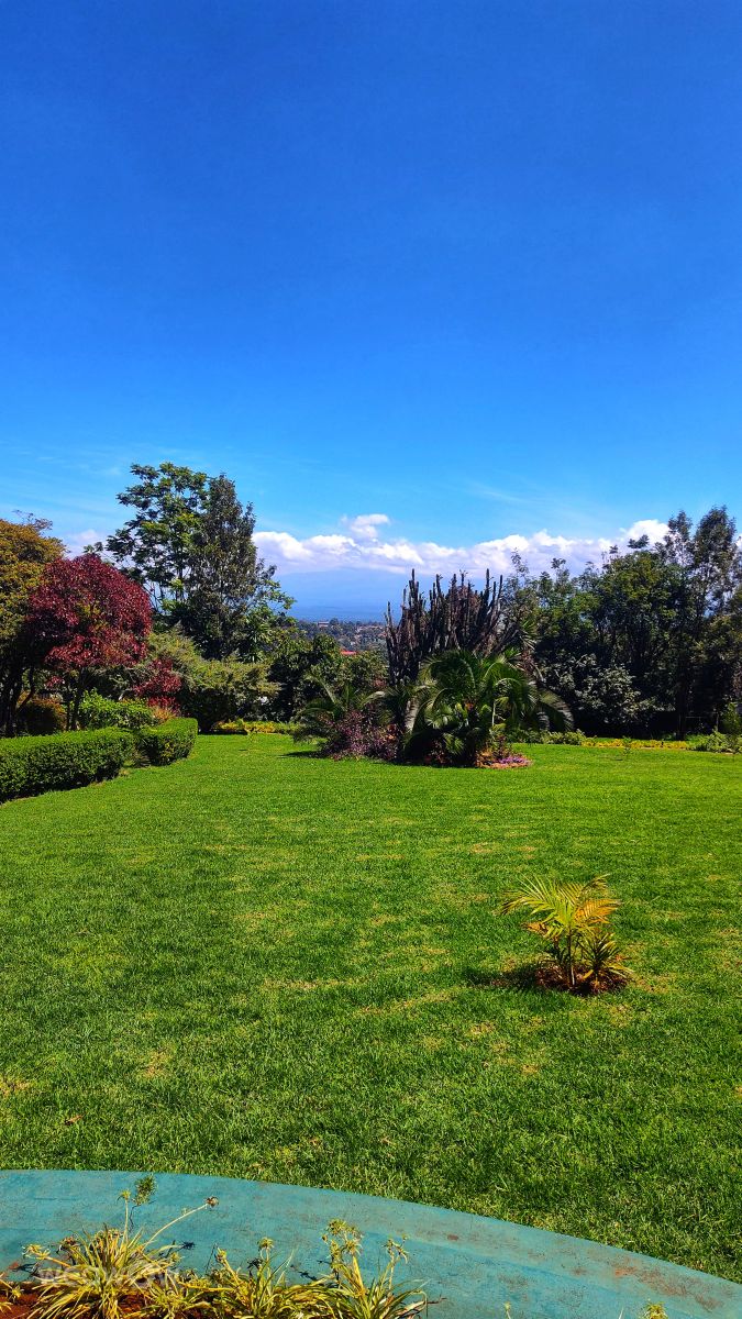 写真家 Wakarima、ニエリの天気写真 - Weawow