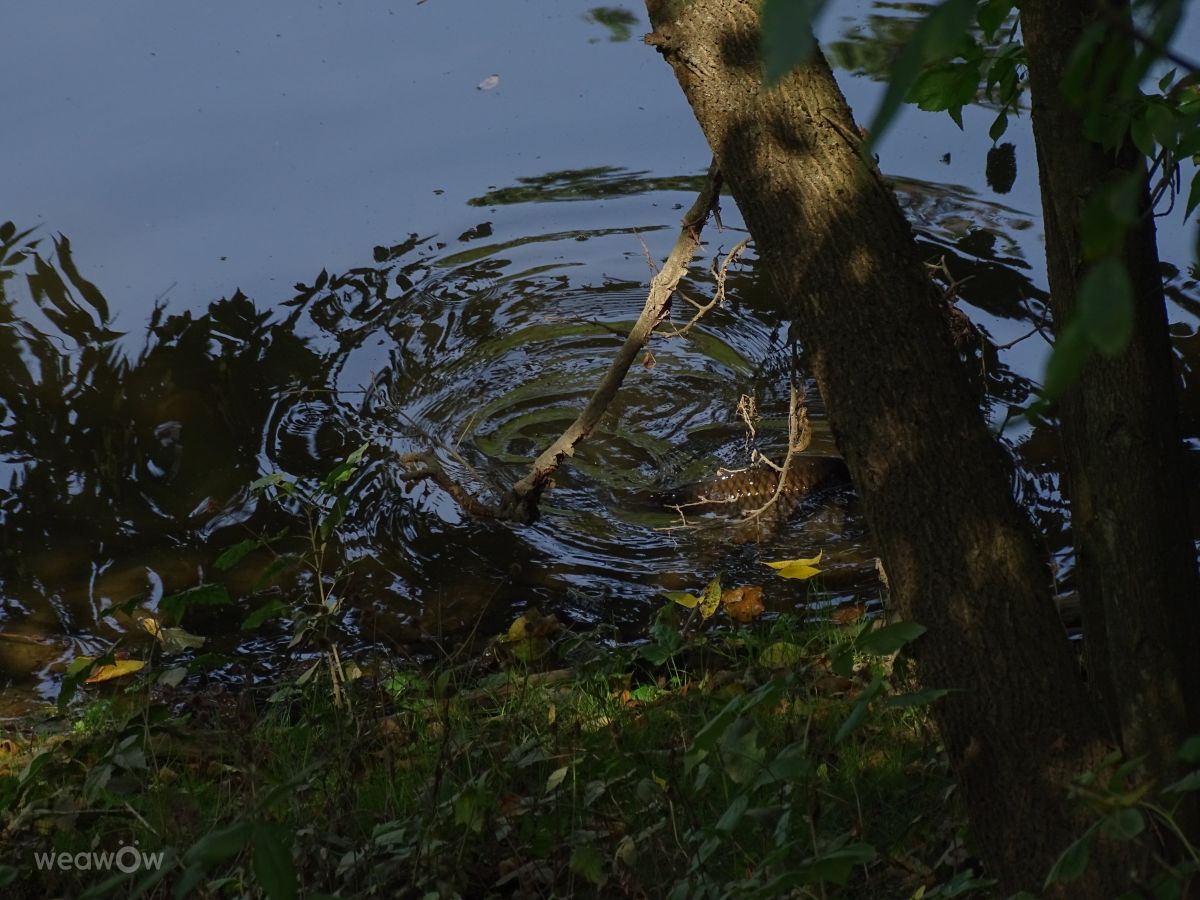 Fotografos Vasek325, Fotos do tempo em Praha 12 - Weawow