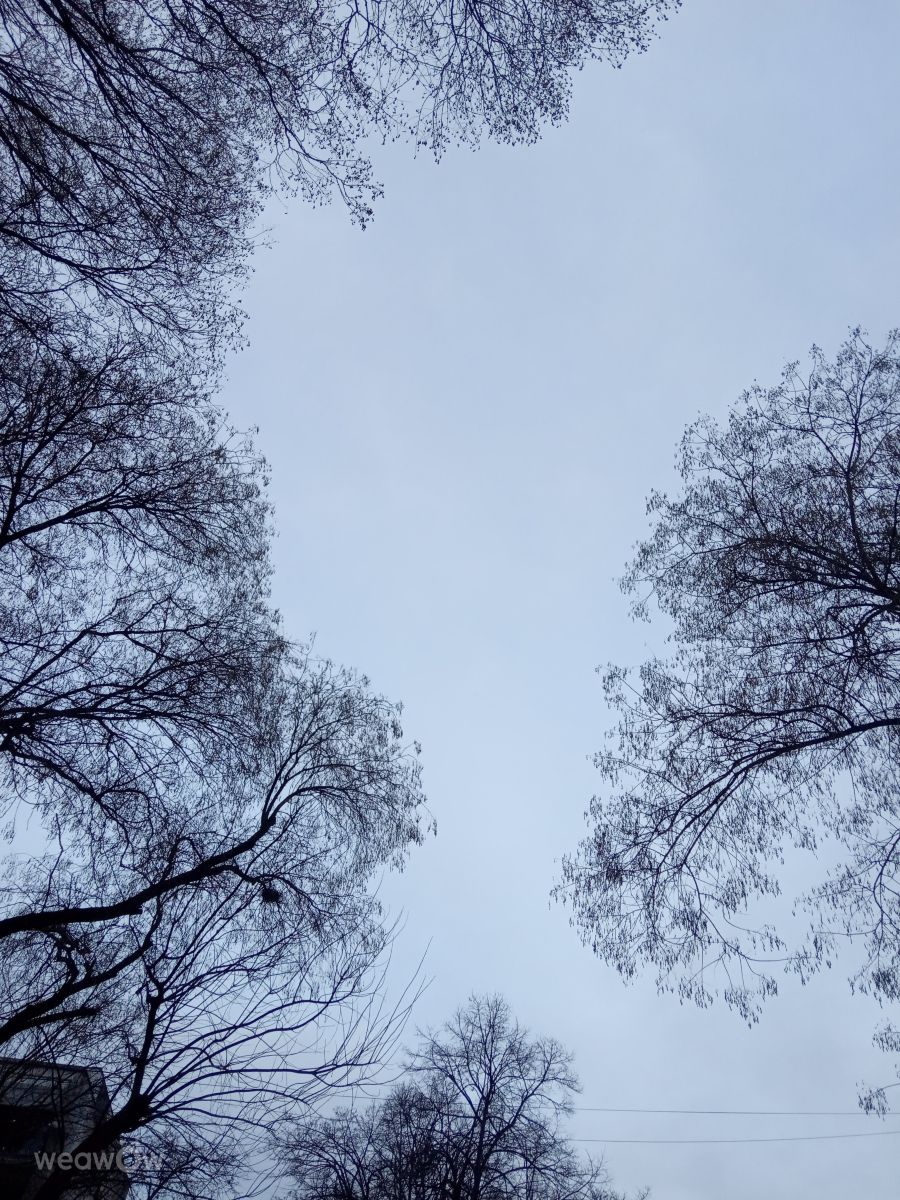 Novi Beograd的天气照片. 天气预报，带Doc_H精美的照片