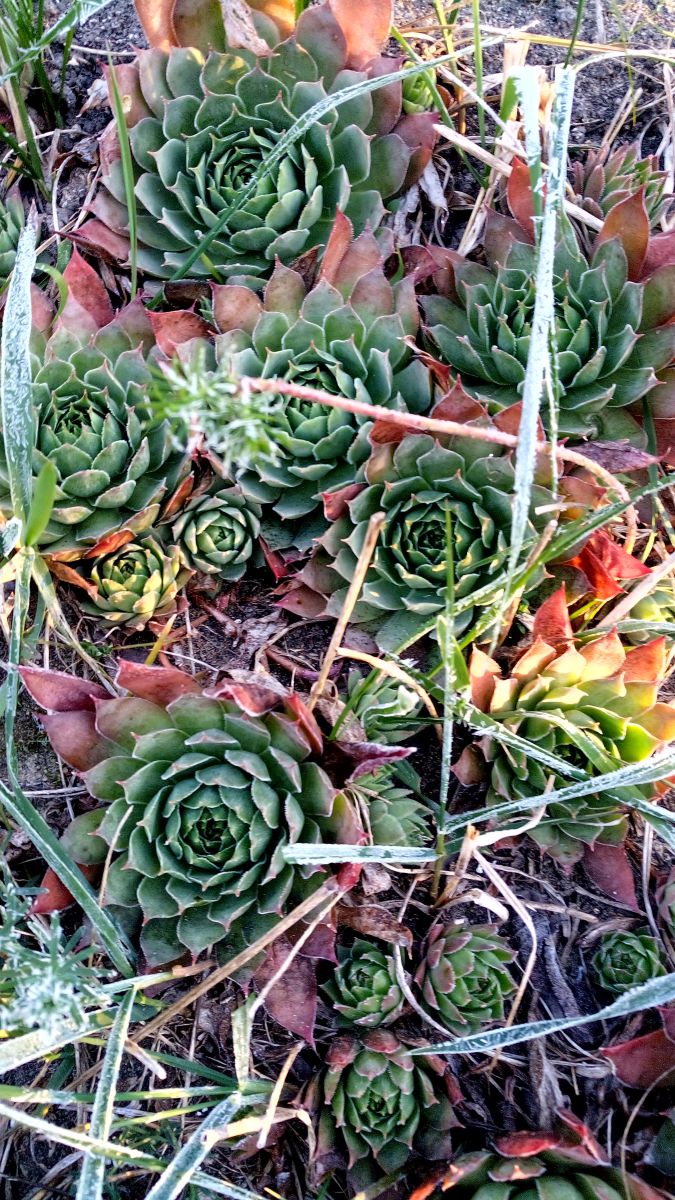 Photographer BHE6E, Weather Photos in Chernyanka - Weawow