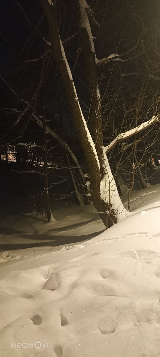 ズヴェニゴロドの天気写真. Ратиборの美しい写真による天気予報