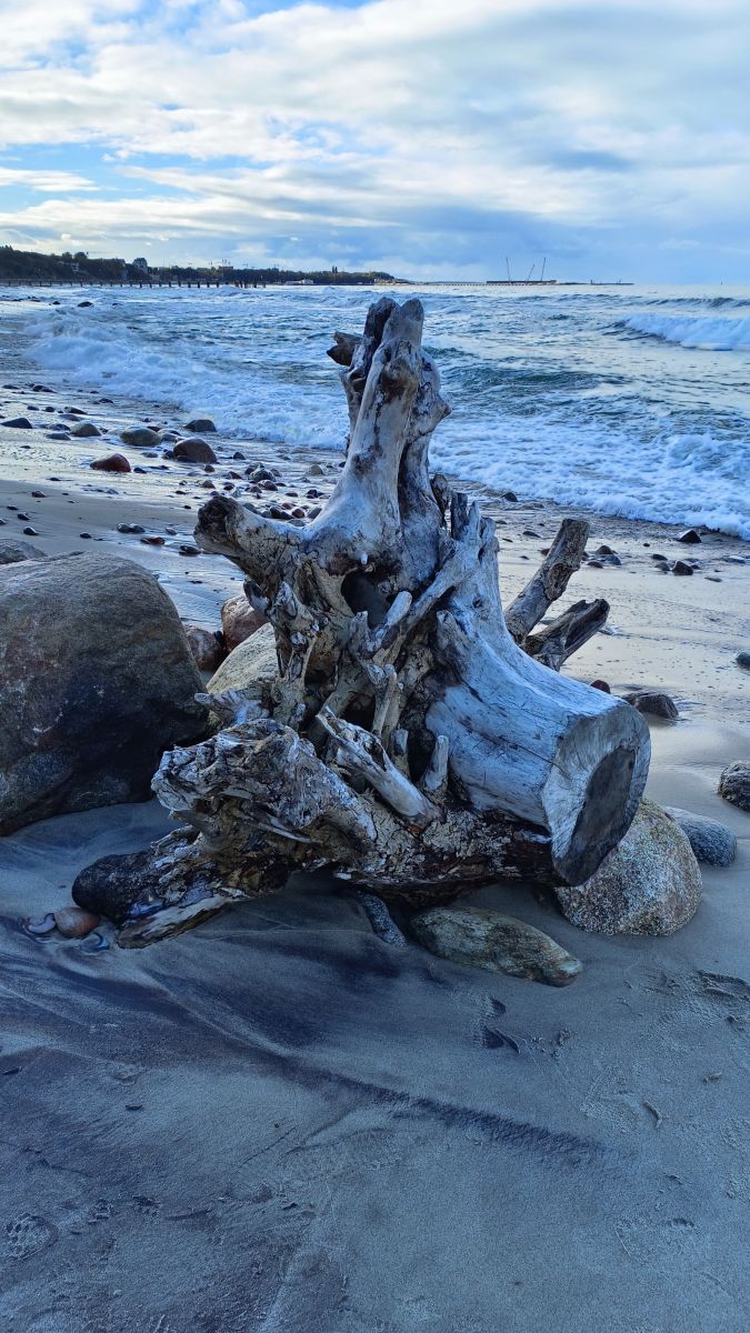 摄影师 Михаил Бондаренко，Pionerskiy的天气照片 - Weawow