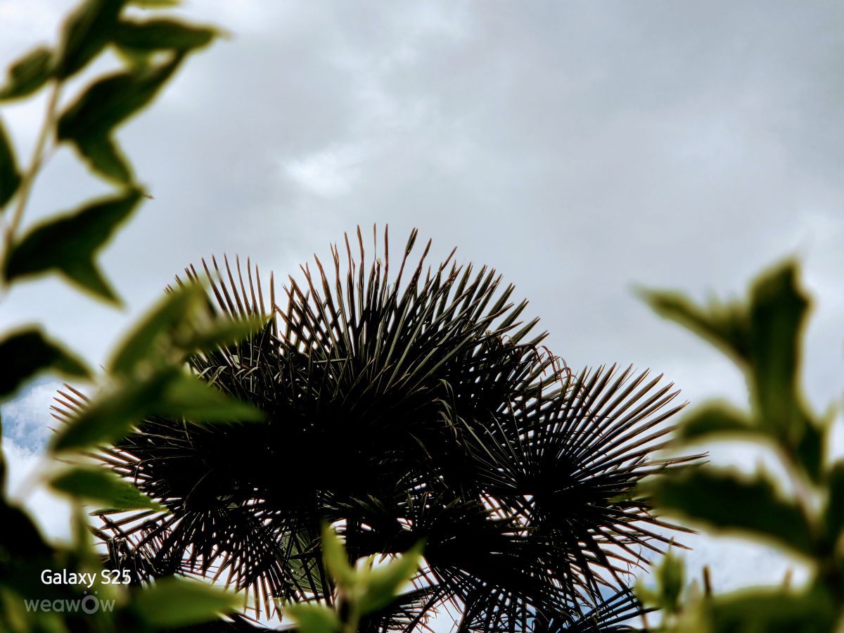 Weather Photos in Switzerland. Weather forecasts with beautiful photos by HALTI