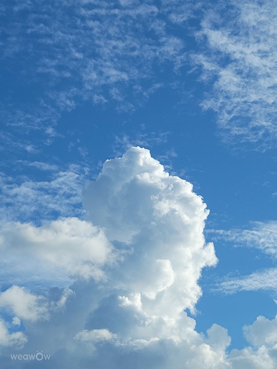 Photos météo à Unadilla. Prévisions météo avec de superbes photos de davidallport