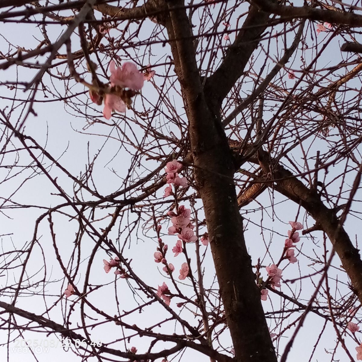 Fotos do tempo em Gauteng. Previsões do tempo com lindas fotos de Jj2425