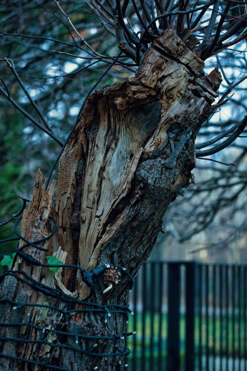グダニスクの天気写真. martinm611の美しい写真による天気予報