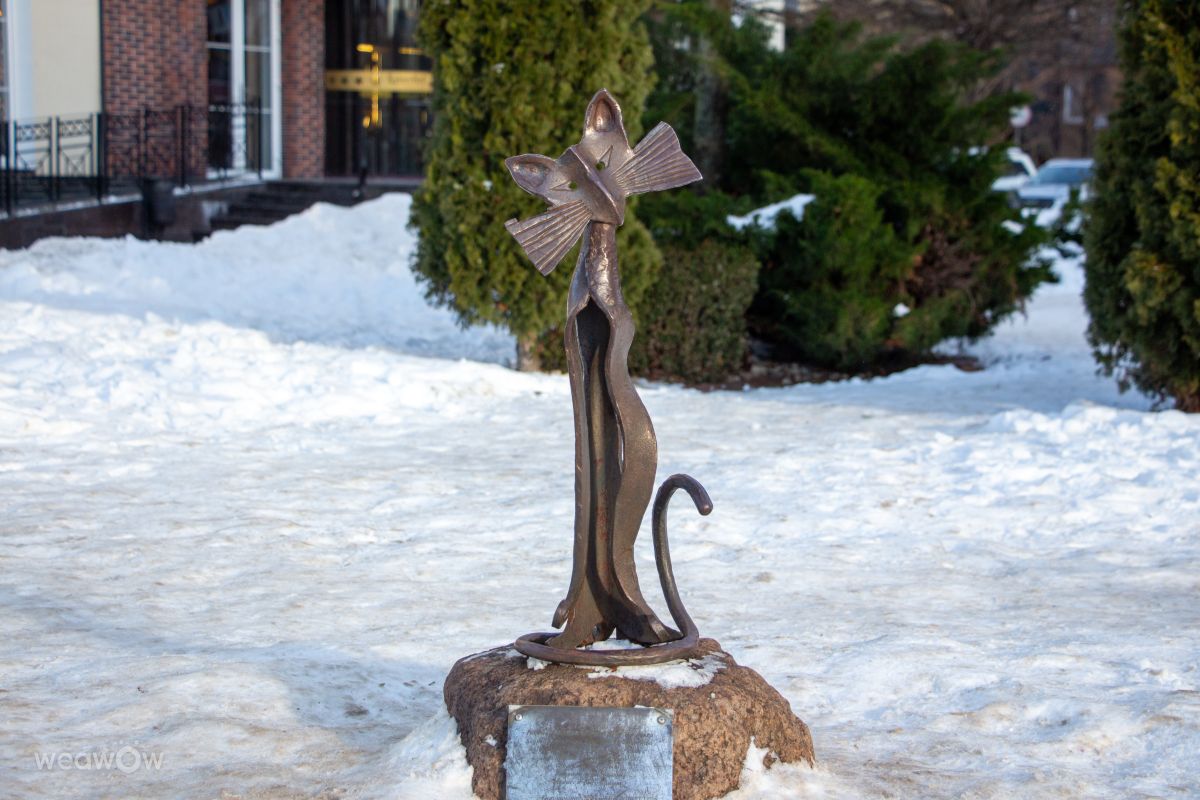 Fotos sobre el clima en Kaliningrado. Pronósticos del tiempo con hermosas fotos de vintilator