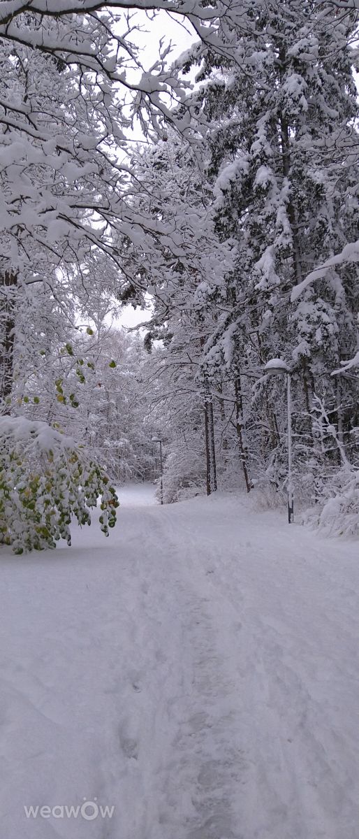 Weather Photos in Sweden. Weather forecasts with beautiful photos by IS-18
