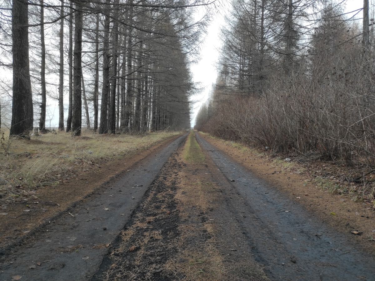 Wetter Photos Mordwinien. Wettervorhersagen mit schönen Fotos von Вильдим