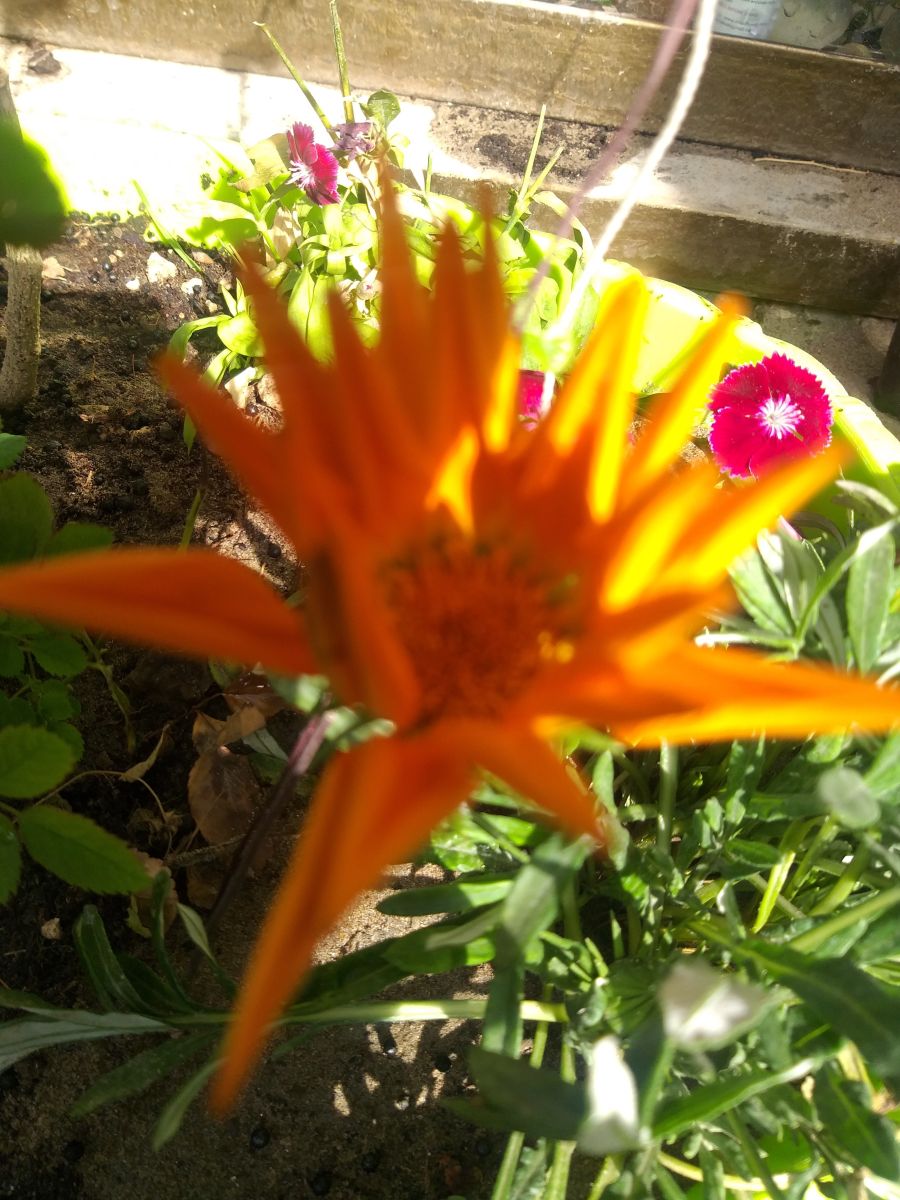 Photos météo à Bagdad. Prévisions météo avec de superbes photos de QusayHassn