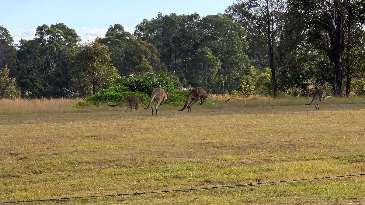 Weather Photos in Australia. Weather forecasts with beautiful photos by FrogAdams