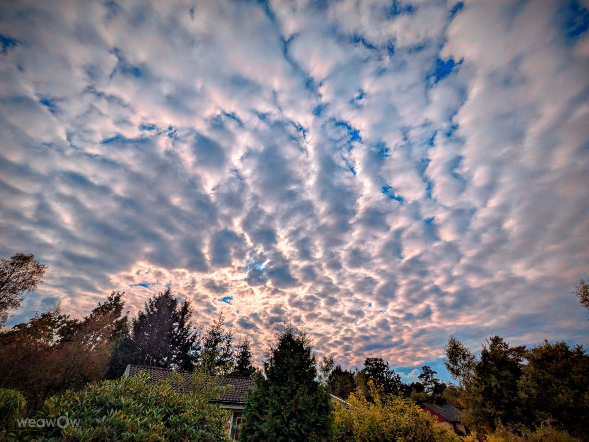 Прогнозы погоды с чудесными фотографиями, сделанными Jörgen Adlerwalt